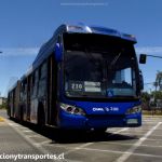Transantiago 230 | Caio Mondego LA - Volvo B9 SALF (2006) / WA9793