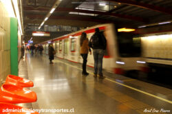 Pajaritos, NS2007 2114