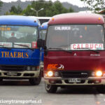 Thaebus BLYZ93 | Mitsubishi Fuso Rosa (2009) | Puerto Montt, 2015